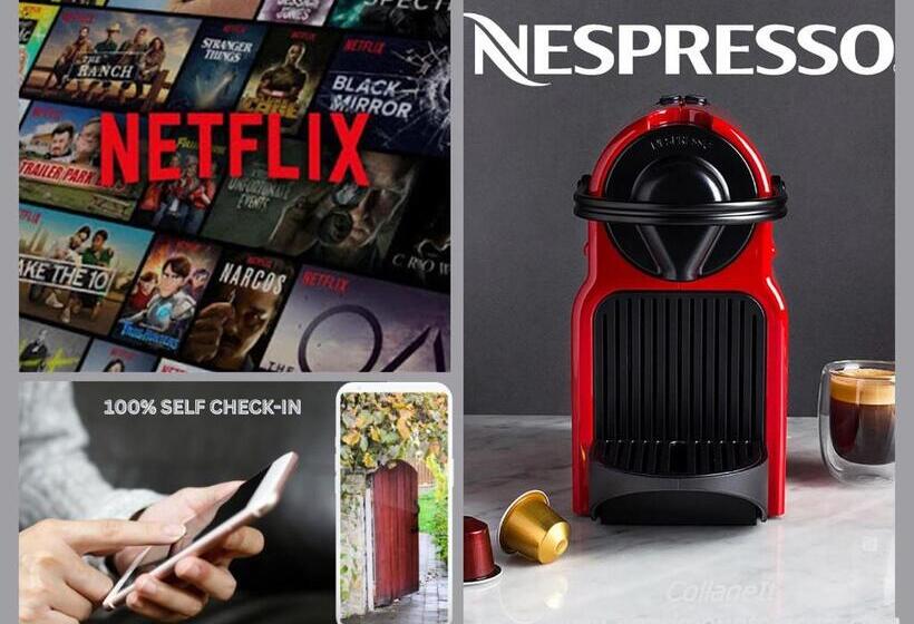 Travel Homes   Rapp, Charm In The Heart Of Colmar