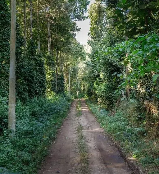 ユースホステル Enchanted Haven By Jadecaps Bbq Ac Coorg
