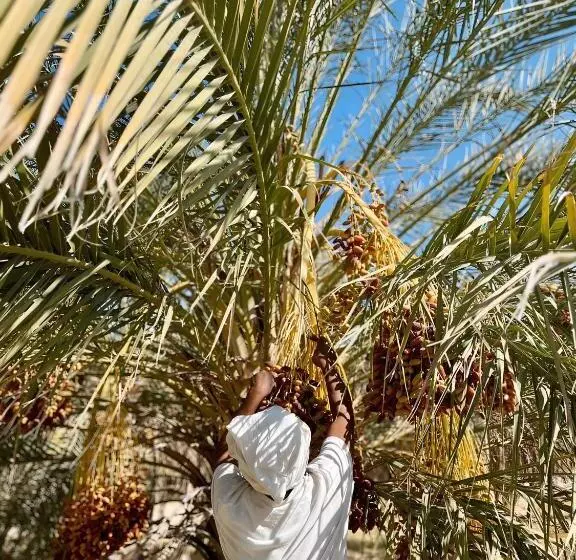 Retkeilymaja Wostel Djerba