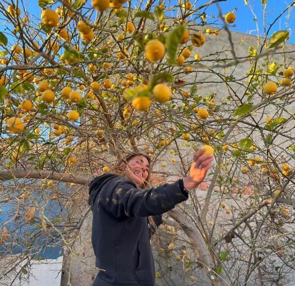 호스텔 Wostel Djerba