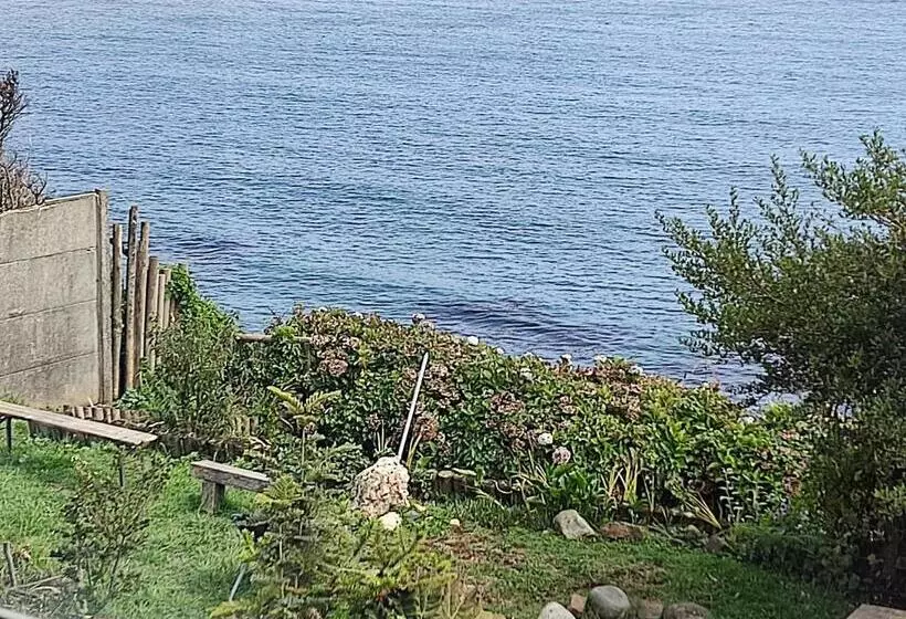 تختخواب و صبحانه Buenavida Hostel, Habitación Amplia Con Baño En Suite Y Vista Al Mar