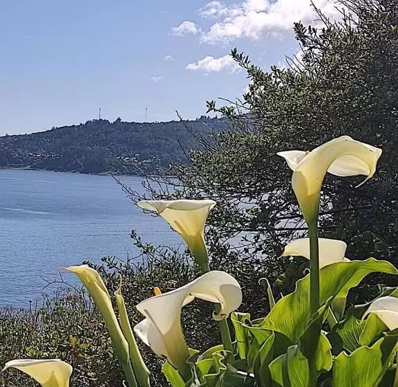 تختخواب و صبحانه Buenavida Hostel, Habitación Amplia Con Baño En Suite Y Vista Al Mar