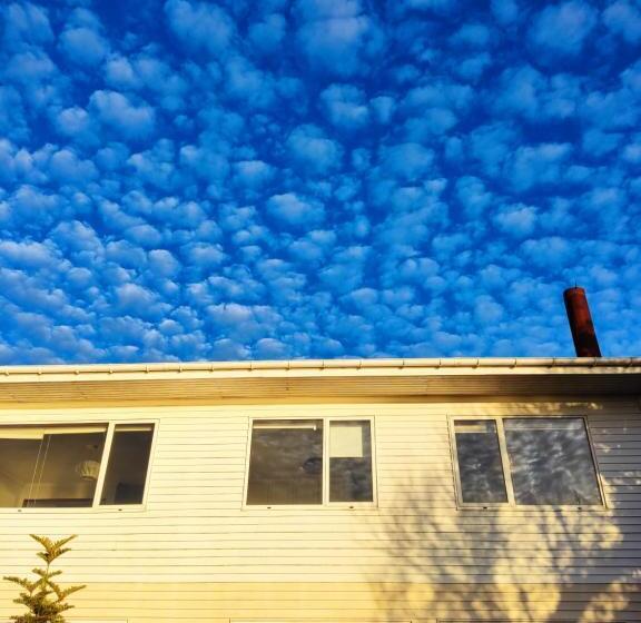 Bed & Breakfast Buenavida Hostel, Habitación Amplia Con Baño En Suite Y Vista Al Mar