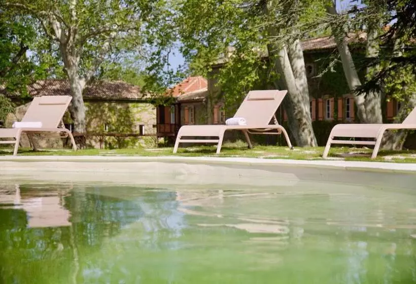 Chambre D Hôtes Insolite Lit Rond B&b Proche Avignon Orange Château De Sienne Piscine Rivière