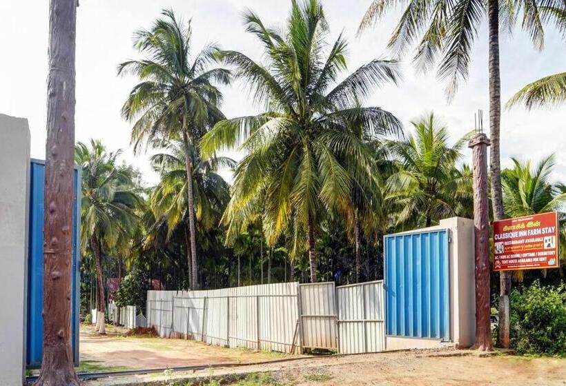 Hotel Oyo Flagship Classique Inn Farm Stay