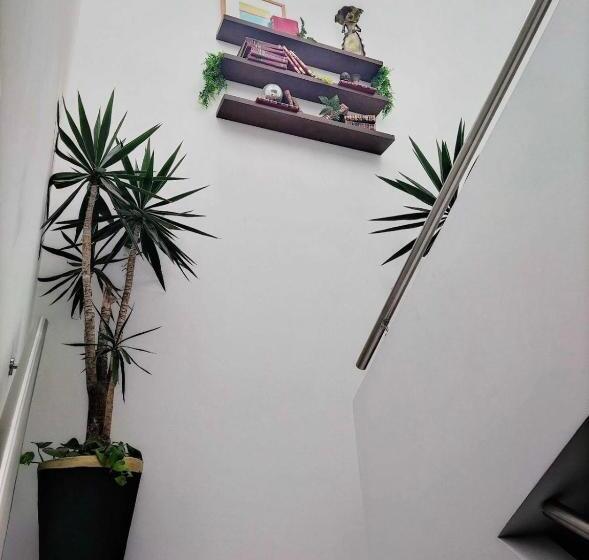 Отель Suites Coloniales