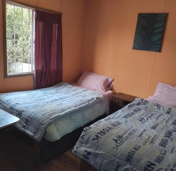 پانسیون Hostal Armando