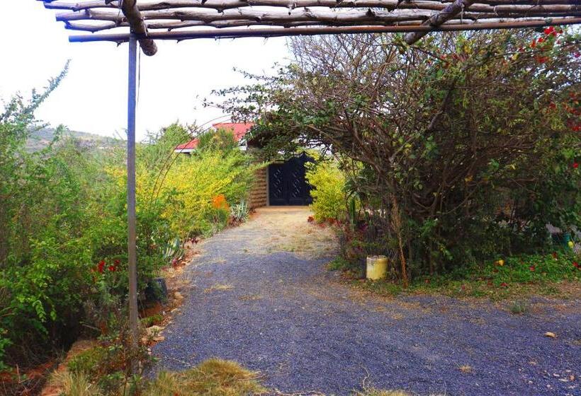 پانسیون Saba Holiday Homes