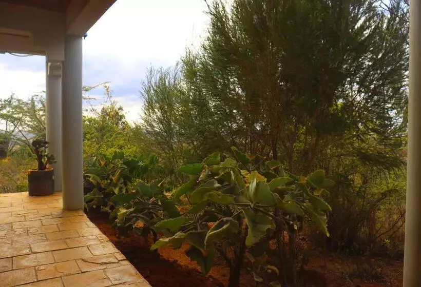 پانسیون Saba Holiday Homes