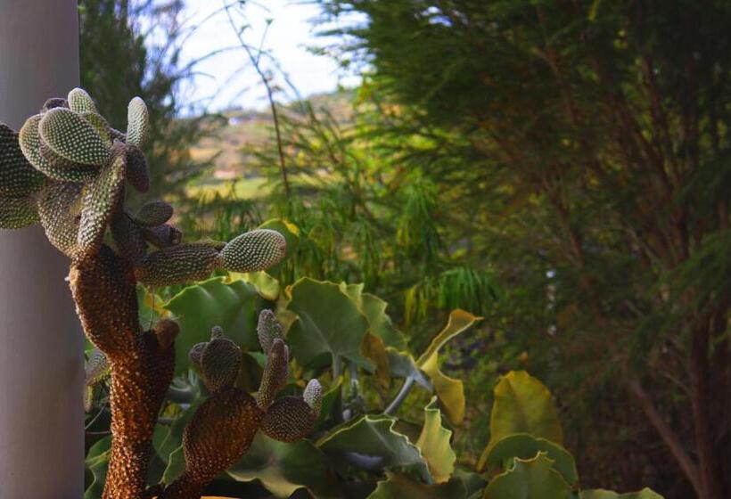 پانسیون Saba Holiday Homes