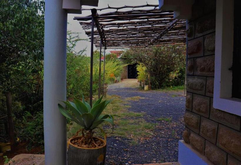 پانسیون Saba Holiday Homes