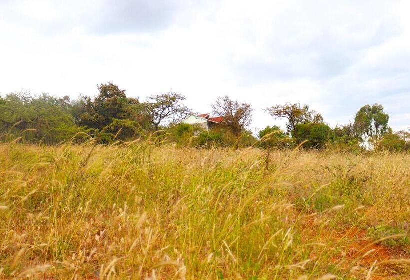 پانسیون Saba Holiday Homes