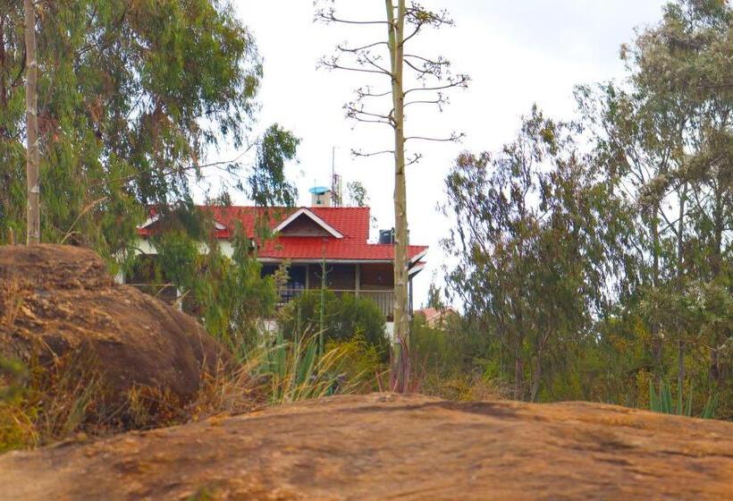 پانسیون Saba Holiday Homes