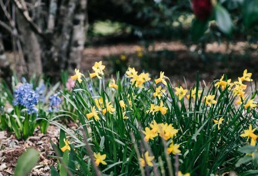 Отель Aubisque, Exeter