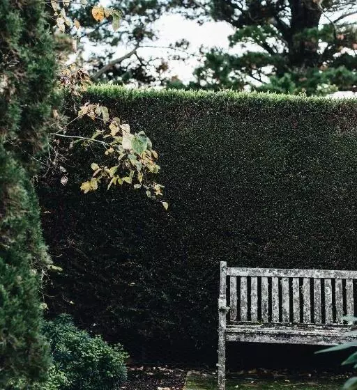 Hotel Aubisque, Exeter