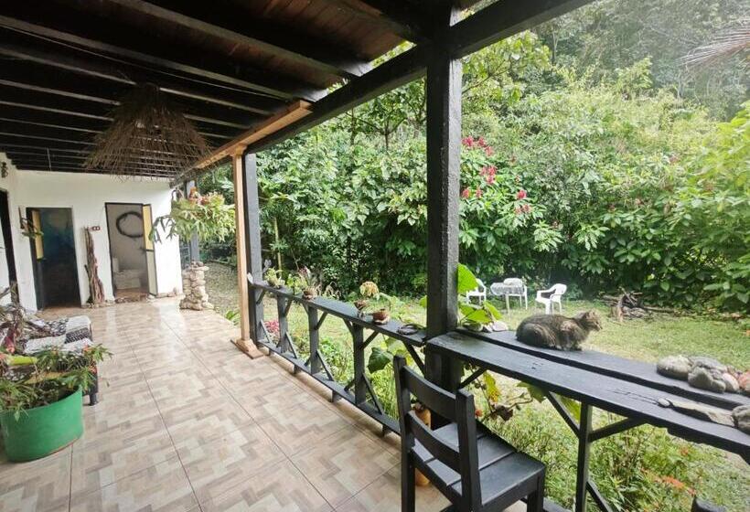 酒店 Eco Hostal Tierra De Agua Y Fuego