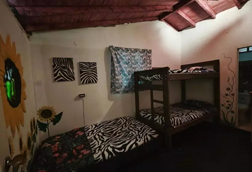 ホテル Eco Hostal Tierra De Agua Y Fuego