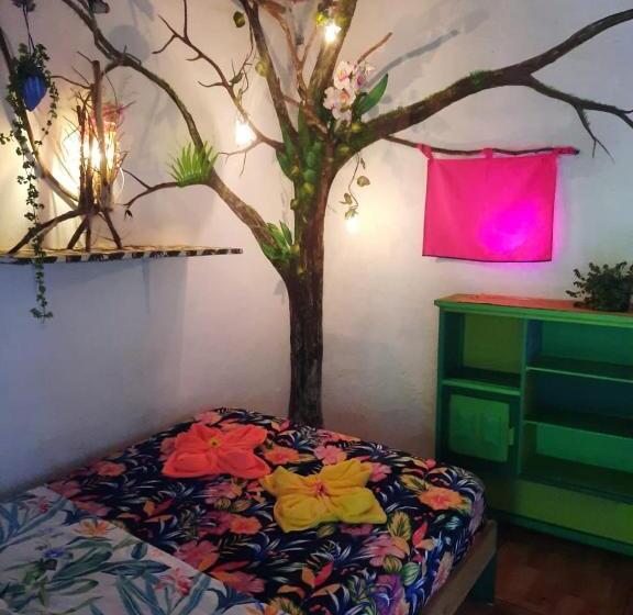 酒店 Eco Hostal Tierra De Agua Y Fuego