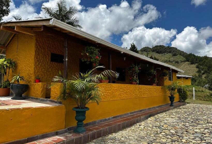 פנסיון Avatar Mountain Retreat