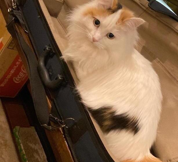 פנסיון Sunset Hills   Vacation Stay 21373v