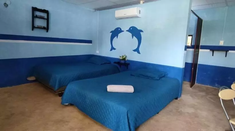ユースホステル Posada Barahona