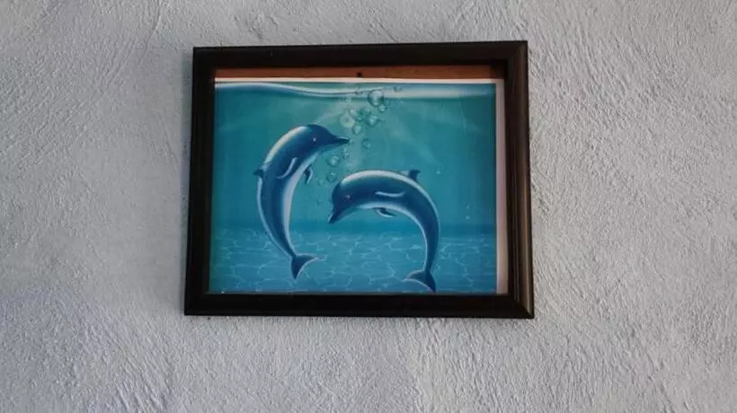 ユースホステル Posada Barahona