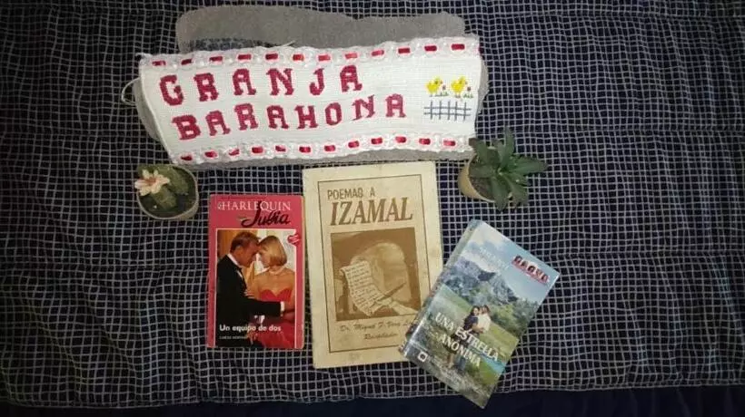 ユースホステル Posada Barahona