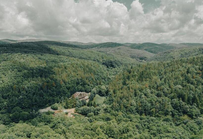 ホテル комплекс златна кошута