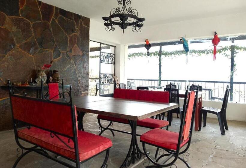 هتل Orquideas De Elena