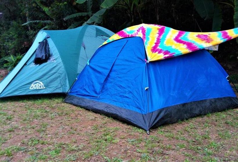 هتل Orquideas De Elena