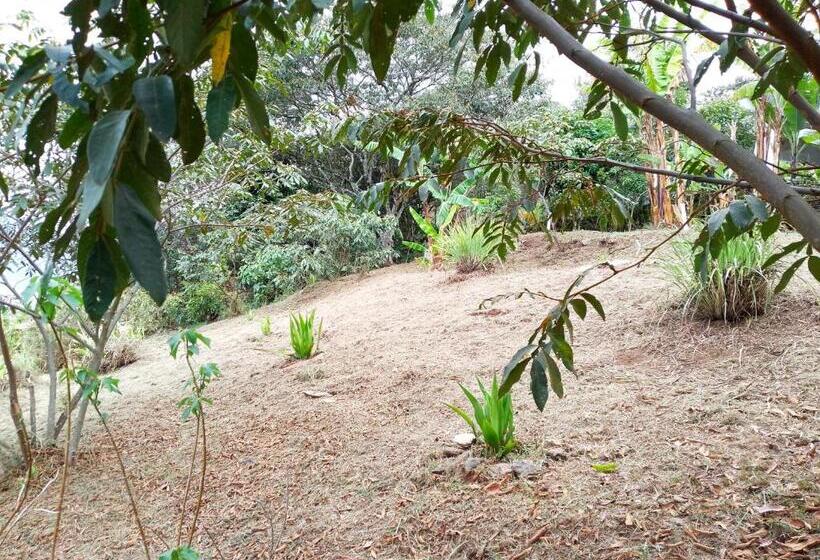 هتل Orquideas De Elena