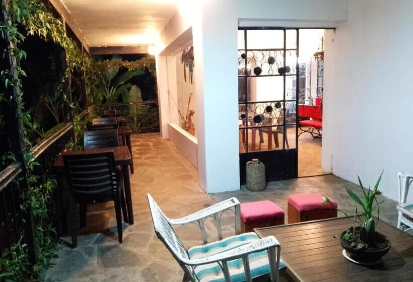 هتل Orquideas De Elena