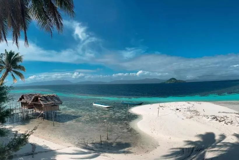 ホテル Tamaku House Reef Raja Ampat