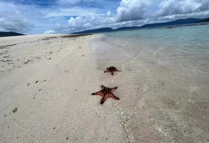 ホテル Tamaku House Reef Raja Ampat