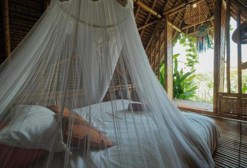 פנסיון Eco Bamboo