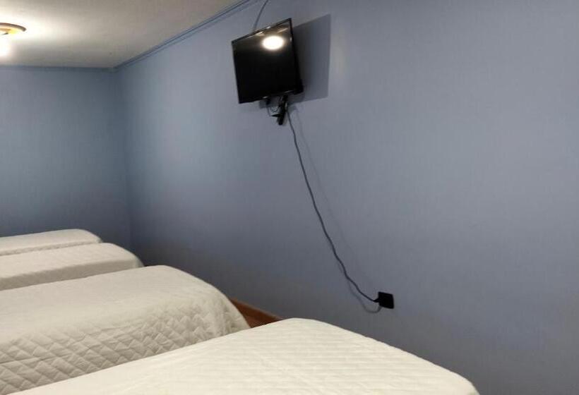 ペンション Hostal Rozal Spa Hospicio