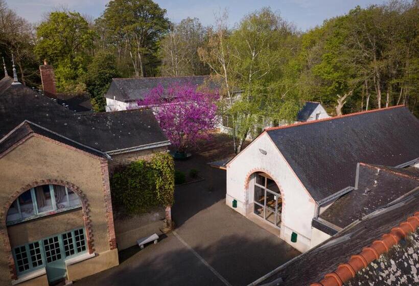 بنسيون Institut Bois Robert