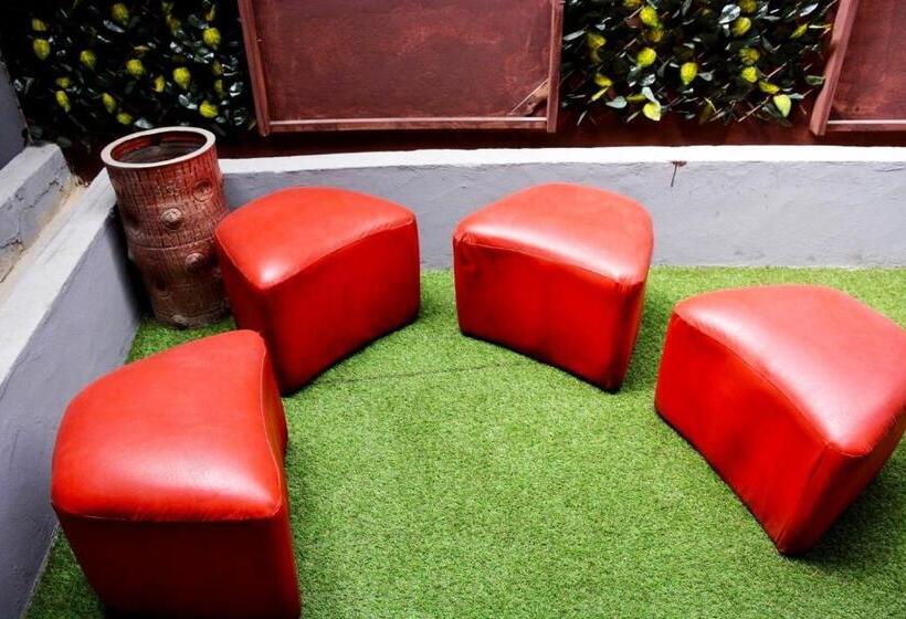 پانسیون Lome Bamboo Lodge La Criquet Events