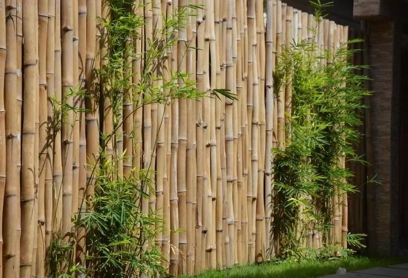 پانسیون Lome Bamboo Lodge   La Criquet Events