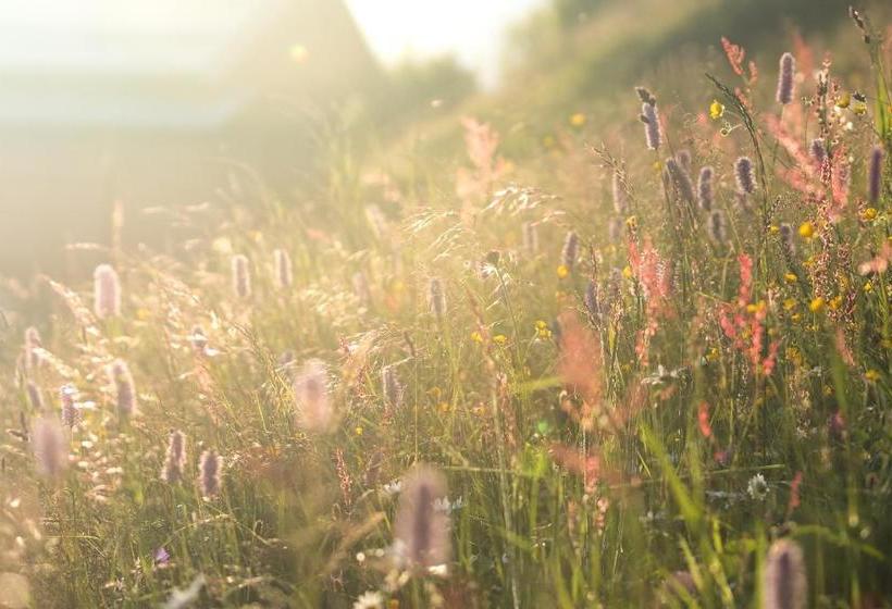 فندق Bauernhof Inntalblick