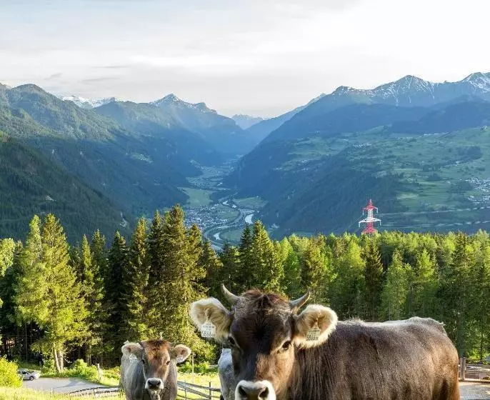 ホテル Bauernhof Inntalblick