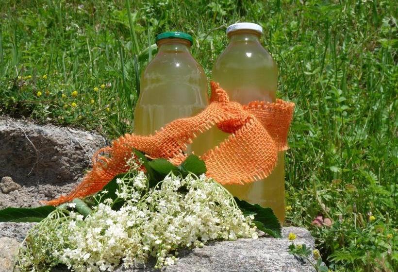 فندق Bauernhof Inntalblick