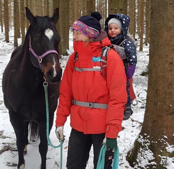 فندق Espi Stables Ferienhof Esterhammer