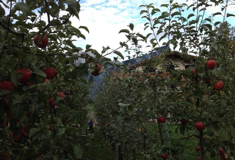 ホテル Ferienwohnungen Mair