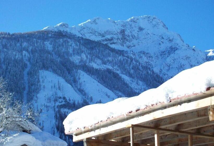 酒店 Gasthof Zum Löwen