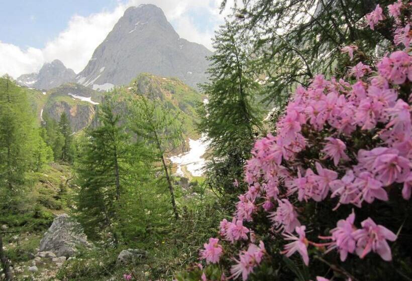 酒店 Gasthof Zum Löwen