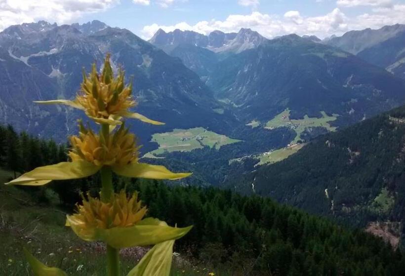 酒店 Gasthof Zum Löwen