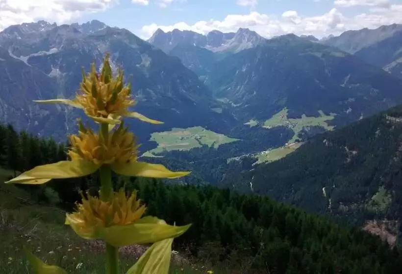 ホテル Gasthof Zum Löwen