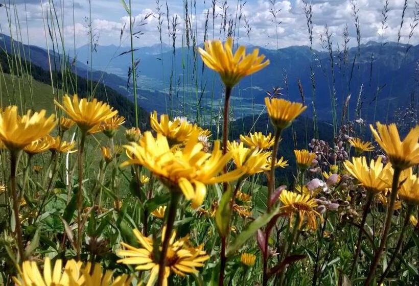 酒店 Gasthof Zum Löwen