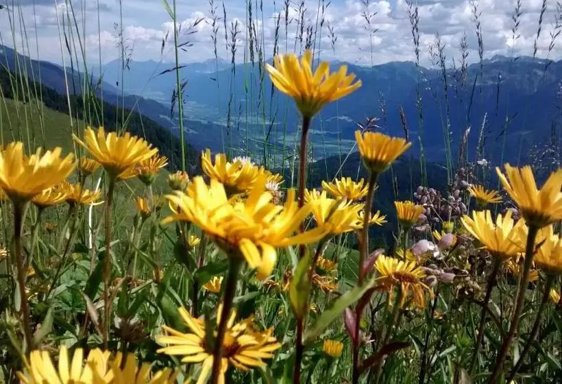 ホテル Gasthof Zum Löwen